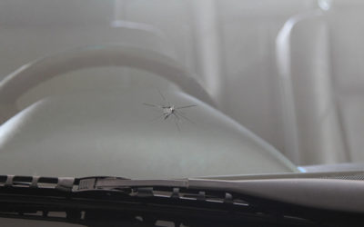 Can Windscreen Scratches and Cracks Cause an MOT Fail?